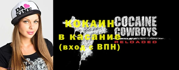 гашик Пестово