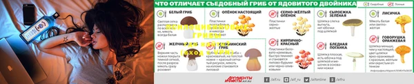 PSILOCYBIN Балахна
