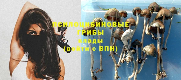 PSILOCYBIN Балахна