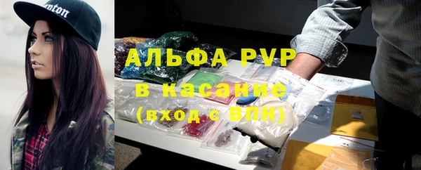 PSILOCYBIN Балахна
